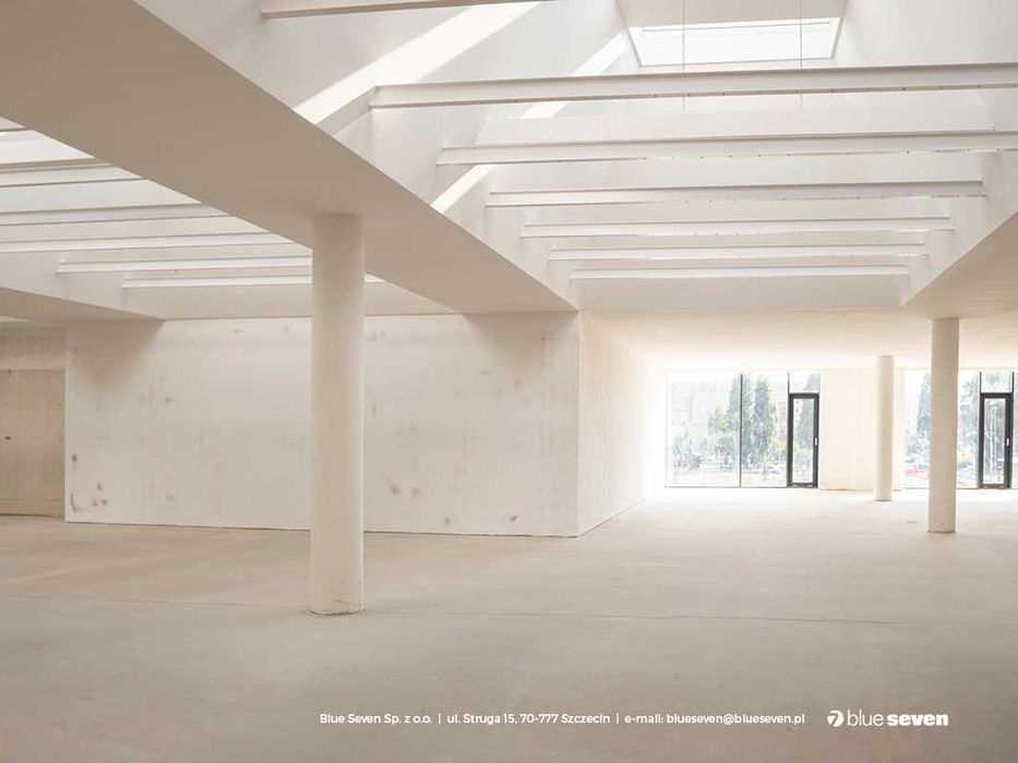 Powierzchnia do wynajęcia na pierwszym  piętrze