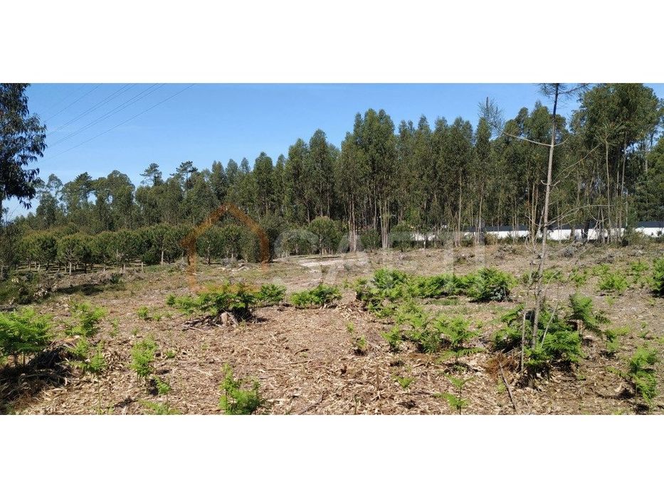 Terreno em zona industrial — Marinha Grande, Leiria
