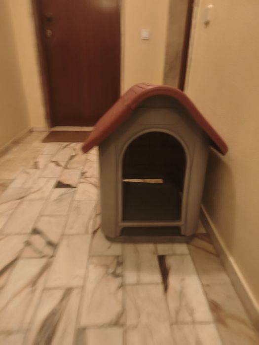 Casota para cães médios