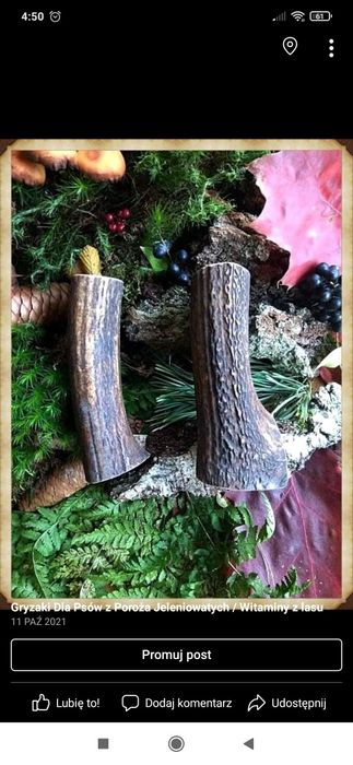 Gryzaki dla psów z poroża jelenia.