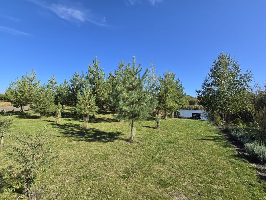 Продам автономний будинок в мальовничому місці