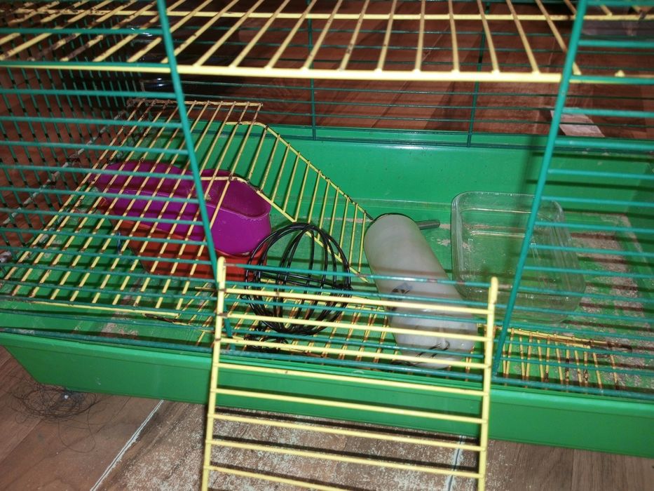 Клітка для гризунів