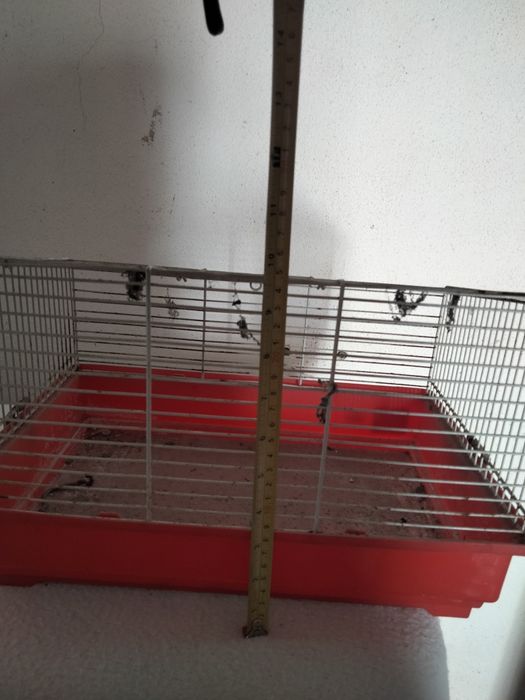 Gaiola de hamster