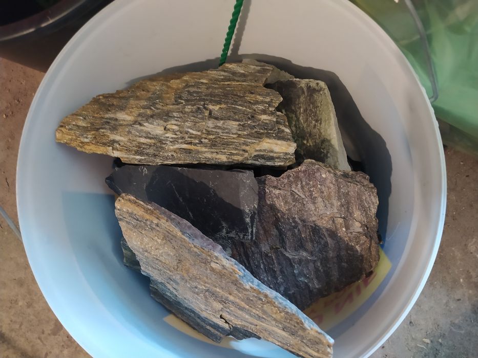 Akwarium Aquael 54L z pełnym zestawem