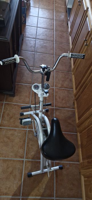 Bicicleta estática Miralago
