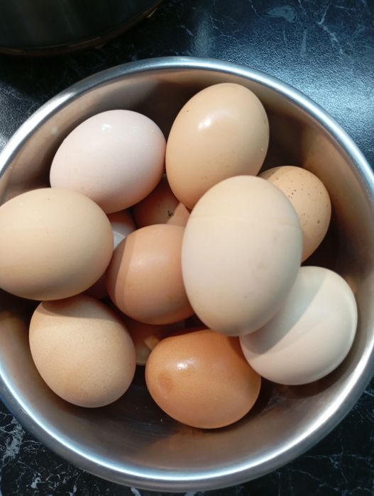 Домашні курячі яйця