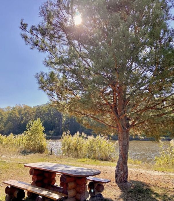 Новорічні свята. Оренда котеджів під Києвом подобово