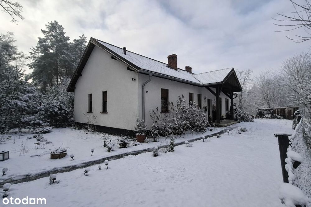 Dom (124 mkw.) przy lesie Sępolno, gm. Miedzichowo