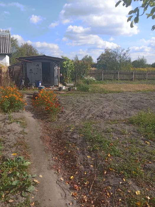 Земельна ділянка