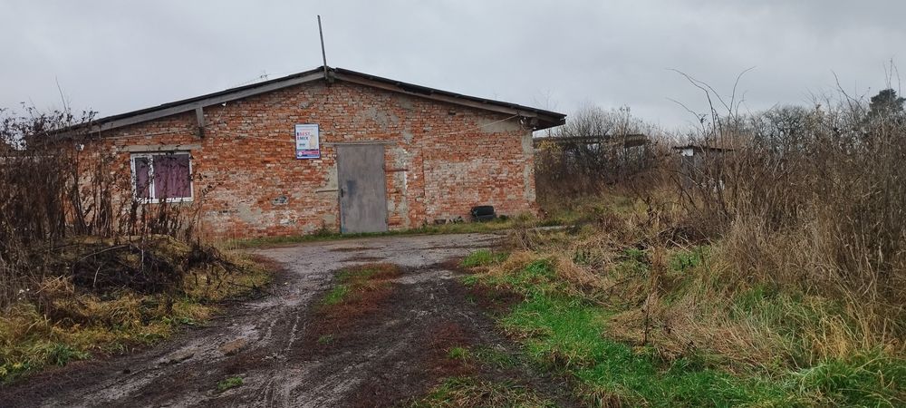 Корівник. Стайня