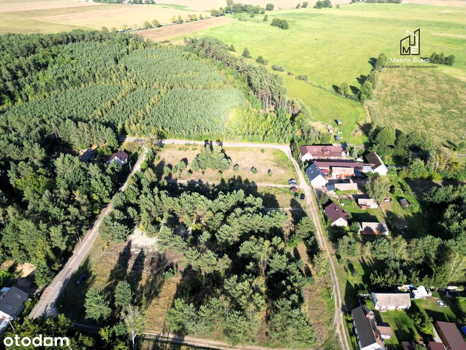 Zdjęcie 5