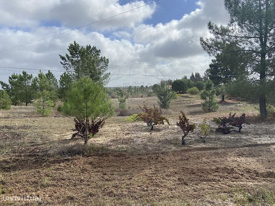 Terreno  para venda