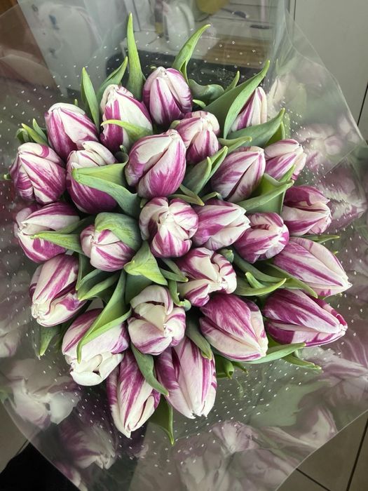 Продажа тюльпана ОПТ/РОЗНИЦА 40 грн