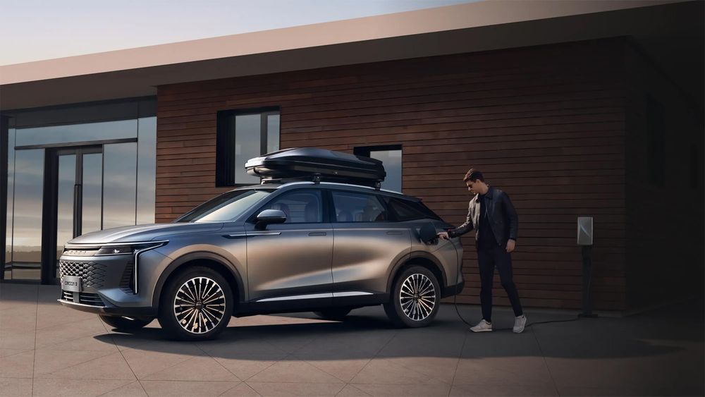 Zdjecie w galerii numer 3