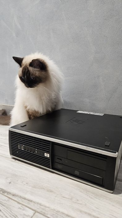 Komputer biurowy HP COMPAQ 8000 ELITE SFF 250GB,  Intel core2 8400, dv