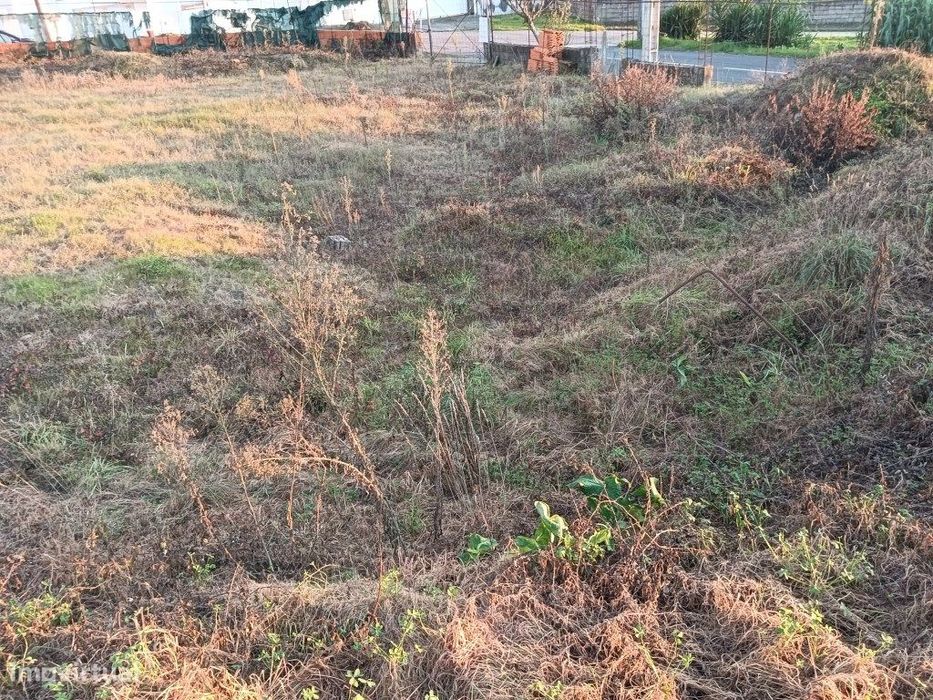 Lote de terreno Aradas - Quinta do Picado