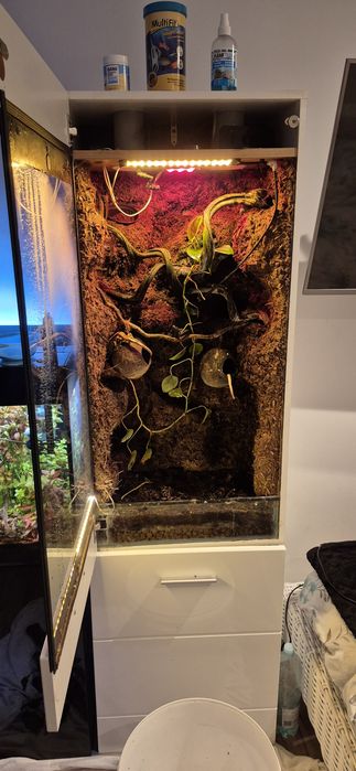 Sprzedam terrarium w szafce