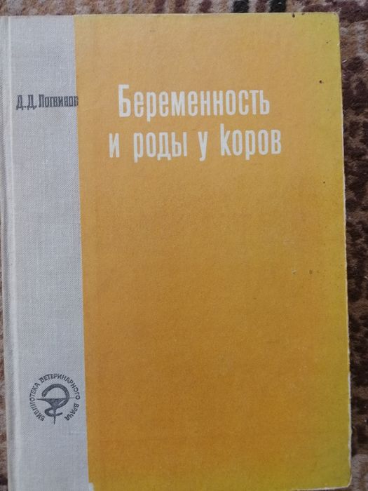 Беременность и роды у коров