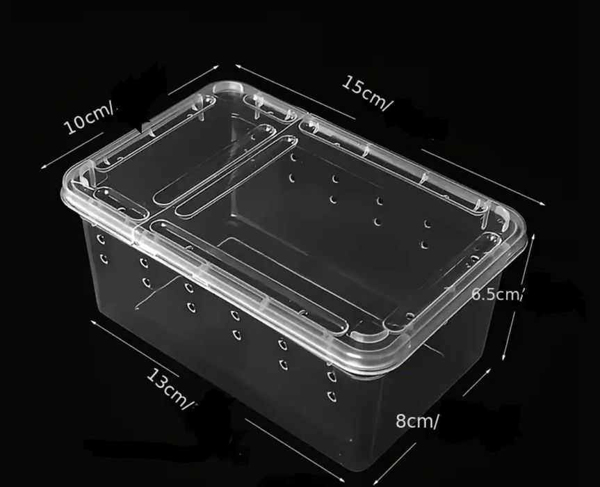 Terrarium plastikowe pojemnik box ptasznik + GRATIS !
