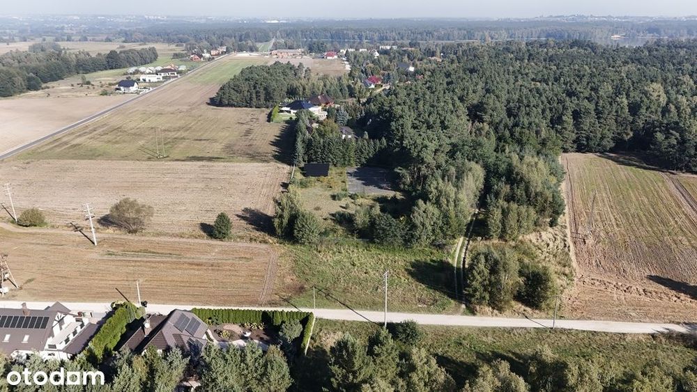 Zdjęcie 2