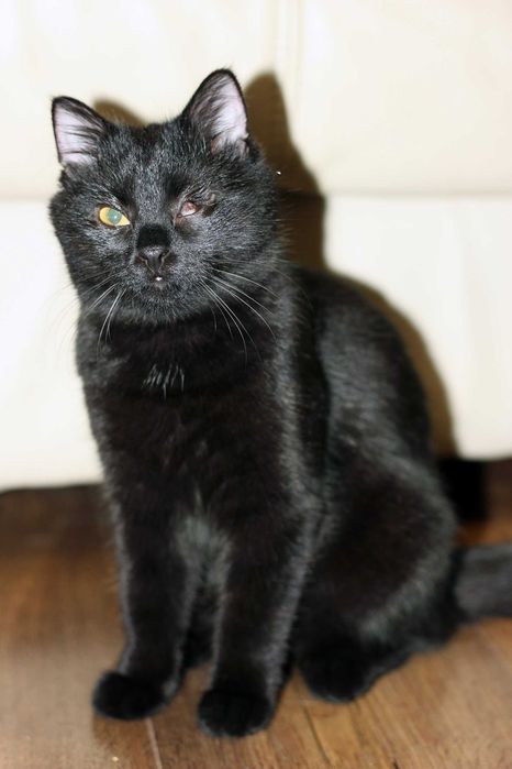 Milka szuka wspólnego domu z Milką! Fundacja "Stawiamy na Łapy"