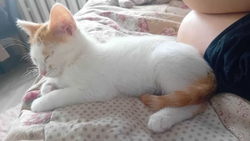 3 mies. Sephora poleca się do adopcji!