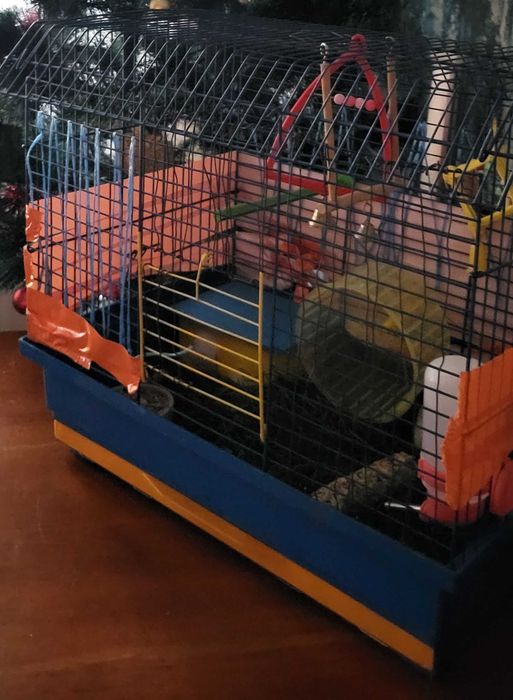 Клетка для хомяка /попугая, хомяк