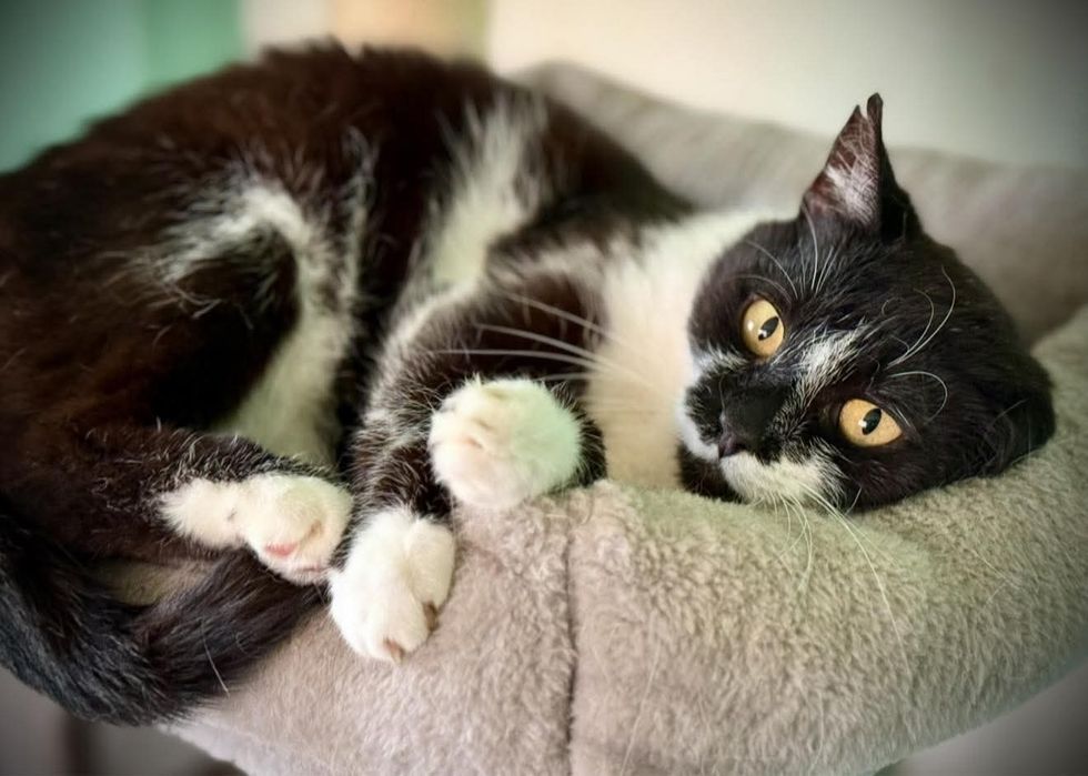 Czy ktoś mnie pokocha?