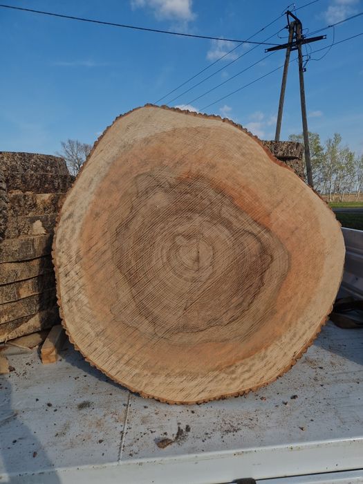 Sprzedam plastry jesionowe.