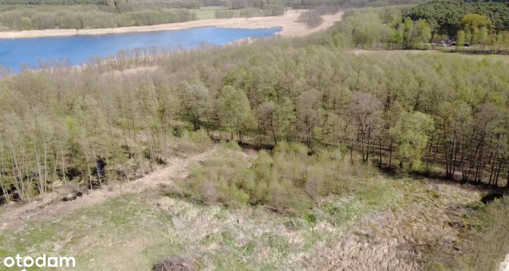 Działka, Boszkowo - Widok 4