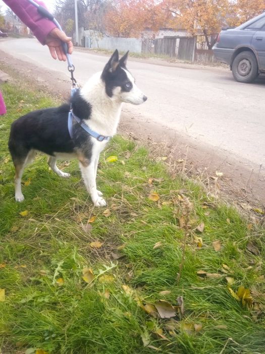 Неймовірно активна