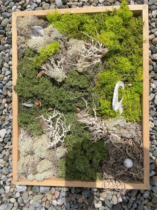 obraz z mchu 30/40 cm