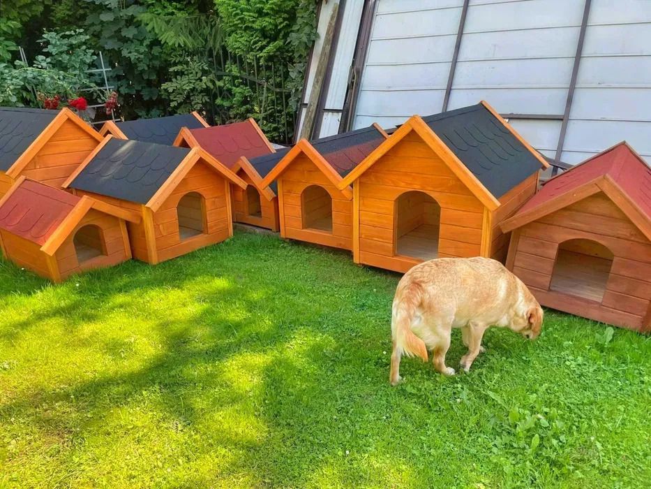 Solidny Kojec 2x3m - Personalizowany i Antykorozyjny | 2x2 4x2 2x3 3x3