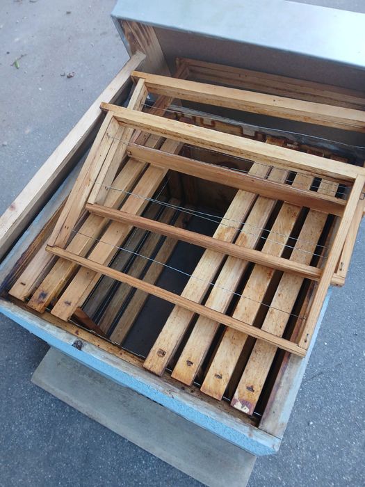 Colmeia reversivel com quadros