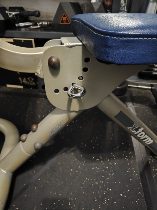 Banco musculação scott BH