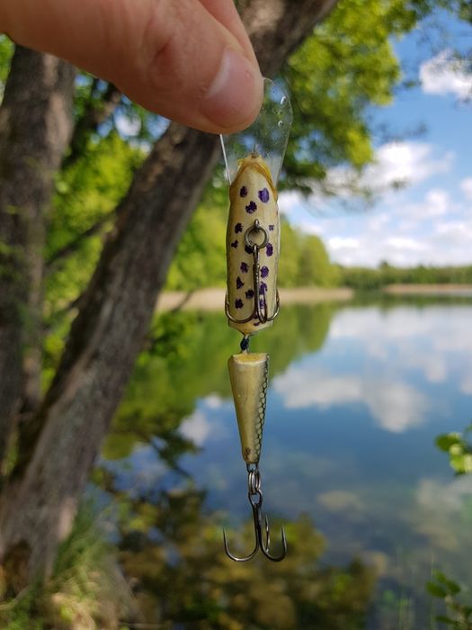 Wobler łamaniec troć pstrąg głowacica