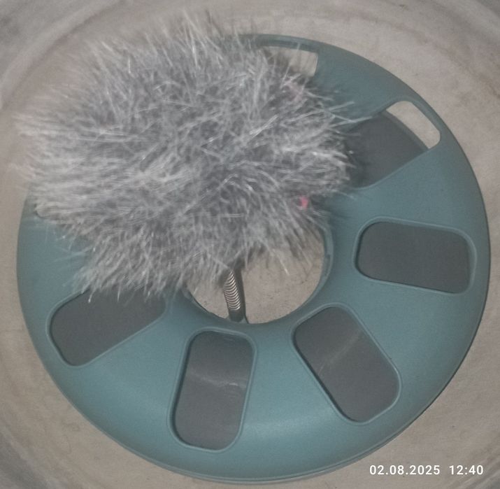 Ігровий трек для котів, іграшка