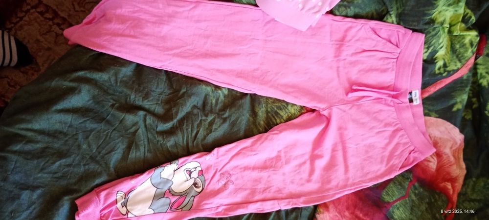 Sprzedam spodnie dresowe gratis bluza