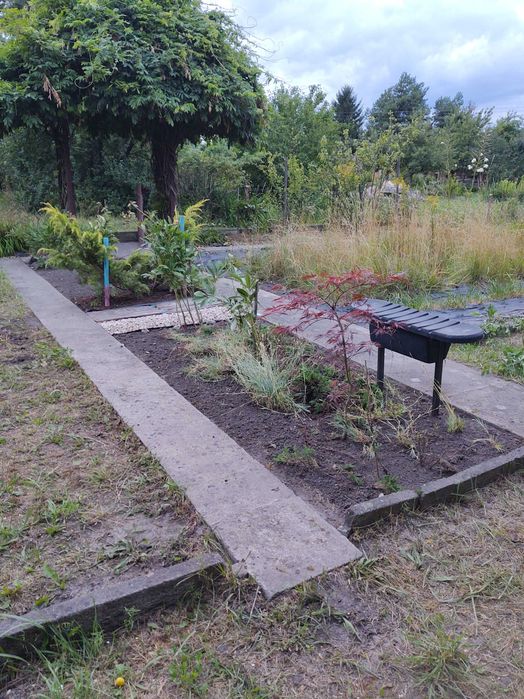 Działka ROD "Maciejka" Wrocław Ołtaszyn ul. Grota-Roweckiego 215