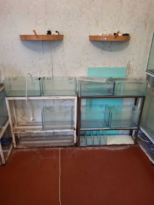 Акваріуми безкоштовно