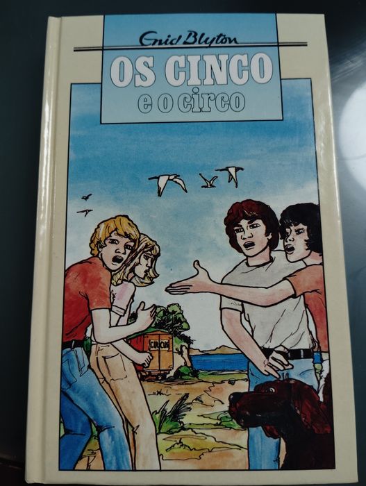 Coleção Livros Os Cinco de 1991/1992