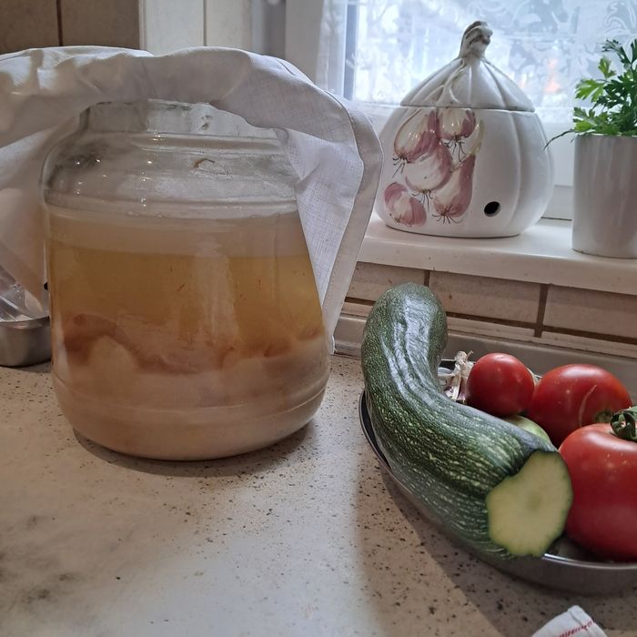 Matka octowa, starter, żywy ocet