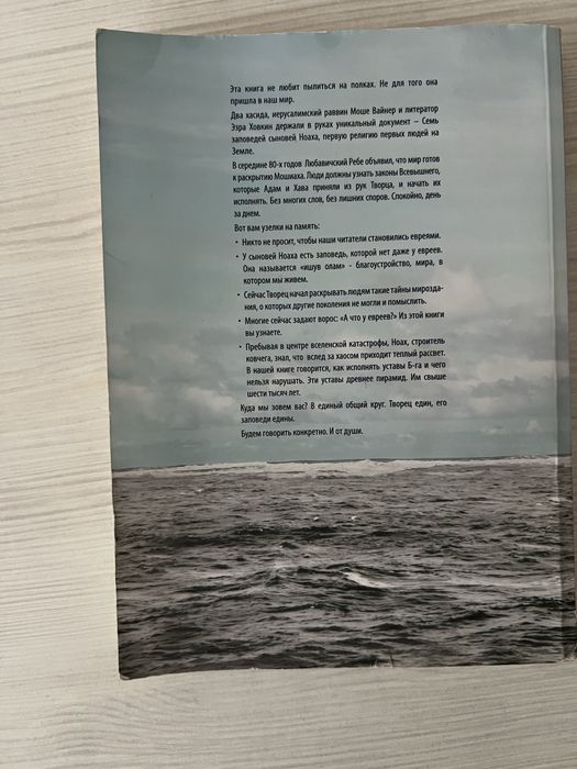 Большой ковчег. Книга первая - Вайнер М., Ховкин Э.