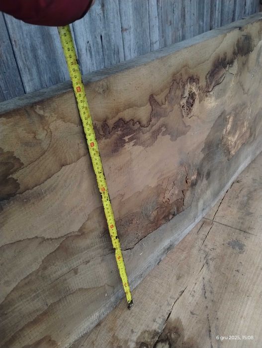 Brusy dębowe monolity suche do zywicy forszty