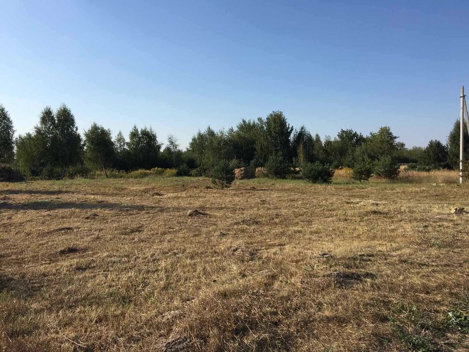 ПРОДАЮ ЗЕМЛЮ! Село Озерце. 12 сот.