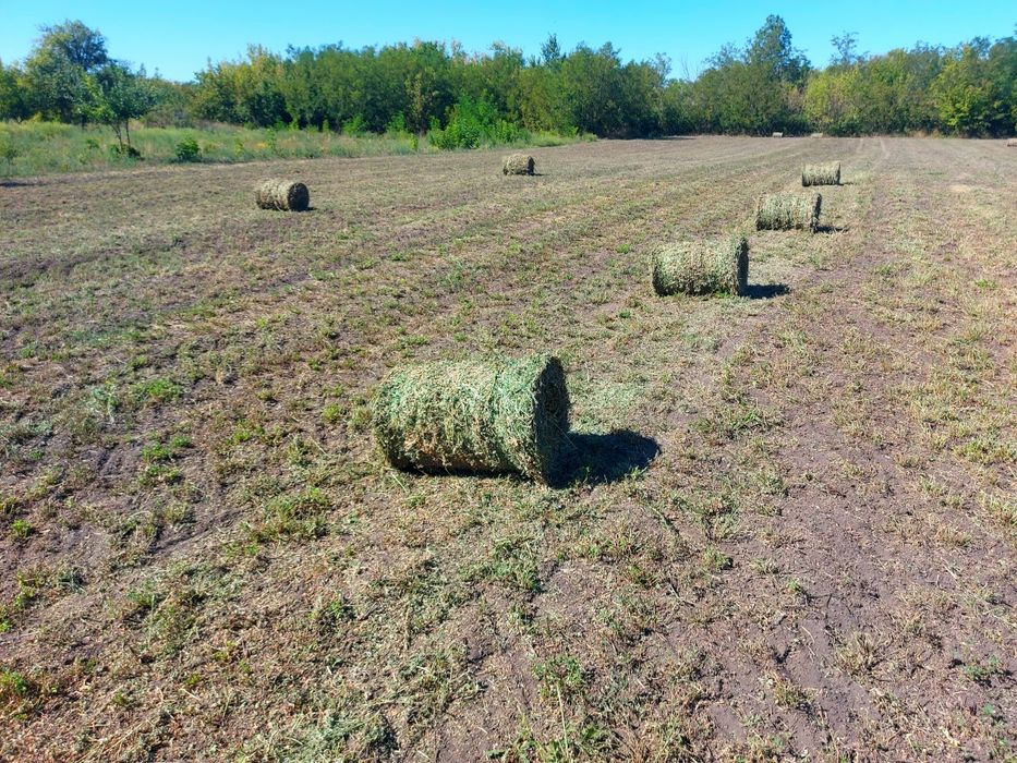 Продам Сіно 2026