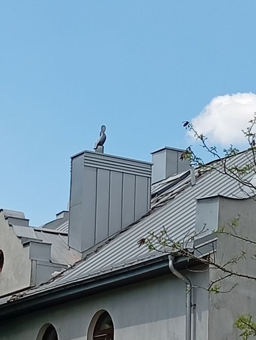 naprawa dachu  dekarz usługi dekarskie  remont dachu cieknący dach usuwanie przecieków uszczelnianie dachu uszczelnianie kominana  poprawki dekarskie
