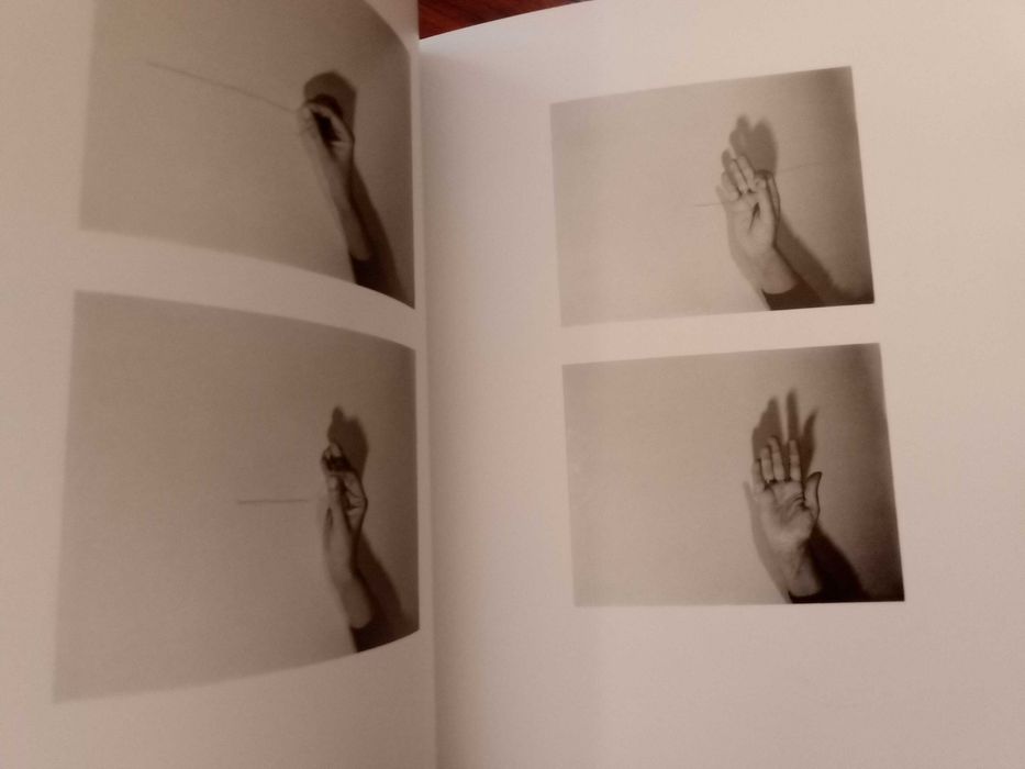 Entre Linhas, Desenho na Colecção da Fundação Luso-Americana