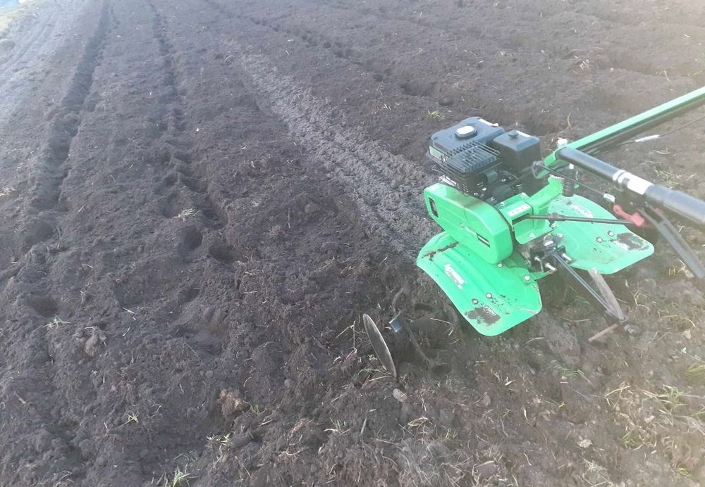 Glebogryzarka ogrody