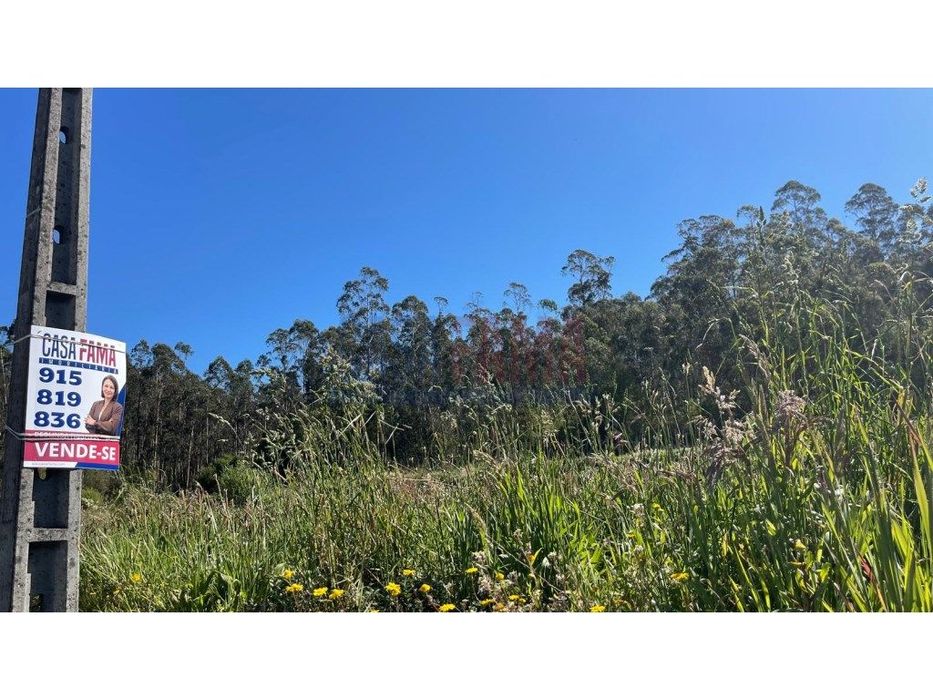 Terreno Agrícola à Venda em Pereira, Barcelos